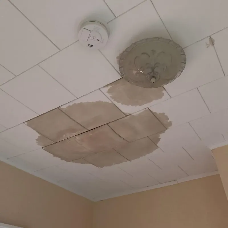 Ceiling Water Damage Repair in Hollywood, CA