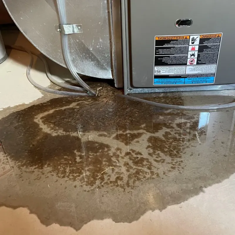 Pipe Burst and Leak Restoration in Hollywood, CA
